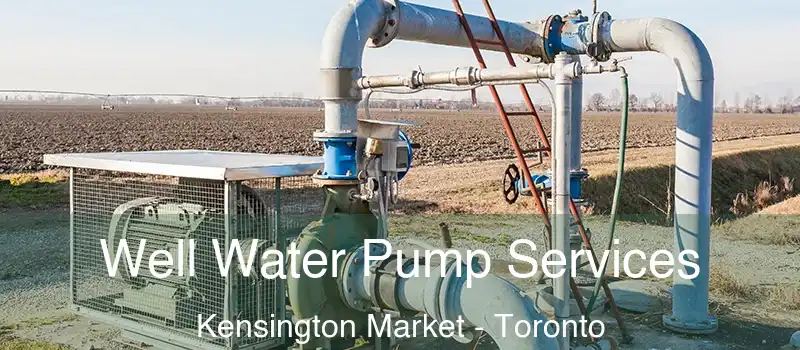  Well Water Pump Services Kensington Market - Toronto